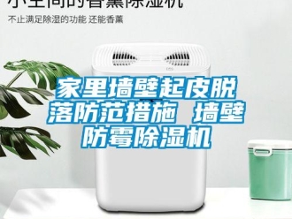 行業(yè)新聞家里墻壁起皮脫落防范措施 墻壁防霉除濕機