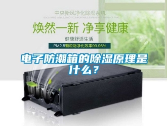 常見問題電子防潮箱的除濕原理是什么？