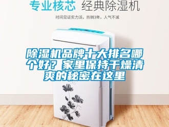 企業(yè)新聞除濕機(jī)品牌十大排名哪個好？家里保持干燥清爽的秘密在這里