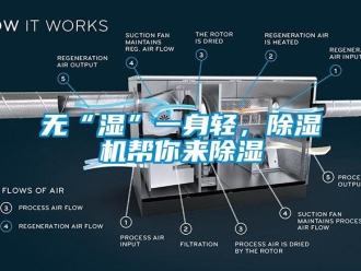 知識百科無“濕”一身輕，除濕機幫你來除濕