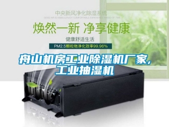 企業(yè)新聞舟山機(jī)房工業(yè)除濕機(jī)廠家,工業(yè)抽濕機(jī)