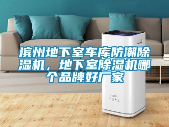 企業(yè)新聞濱州地下室車庫防潮除濕機，地下室除濕機哪個品牌好廠家