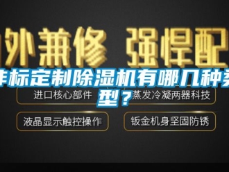 行業(yè)新聞非標(biāo)定制除濕機(jī)有哪幾種類(lèi)型？