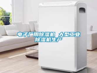 常見問題電子廠用除濕機(jī) 大型工業(yè)除濕機(jī)生產(chǎn)