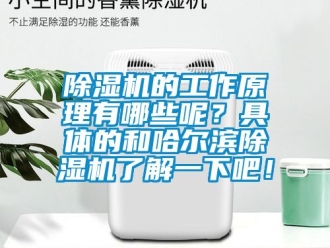 企業(yè)新聞除濕機的工作原理有哪些呢？具體的和哈爾濱除濕機了解一下吧！