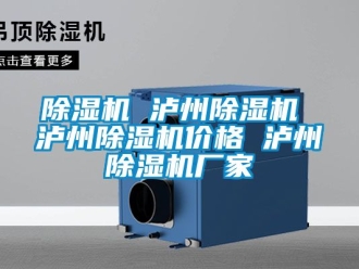 企業(yè)新聞除濕機 瀘州除濕機 瀘州除濕機價格 瀘州除濕機廠家