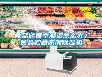 行業(yè)新聞食品儲藏室潮濕怎么辦？食品貯藏防潮除濕機