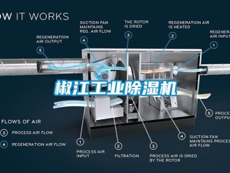 常見問題椒江工業(yè)除濕機