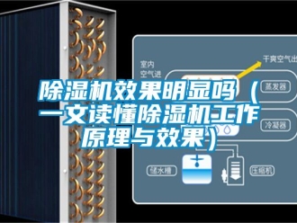 行業(yè)新聞除濕機(jī)效果明顯嗎（一文讀懂除濕機(jī)工作原理與效果）