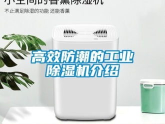 常見問題高效防潮的工業(yè)除濕機介紹