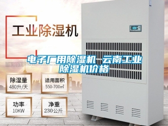 常見問題電子廠用除濕機(jī) 云南工業(yè)除濕機(jī)價(jià)格