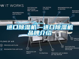 企業(yè)新聞進(jìn)口除濕機(jī)—進(jìn)口除濕機(jī)品牌介紹