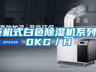 行業(yè)新聞柜機(jī)式白色除濕機(jī)系列40KG／H