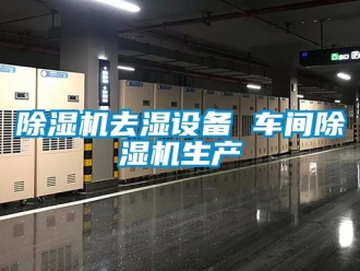 企業(yè)新聞除濕機去濕設(shè)備 車間除濕機生產(chǎn)