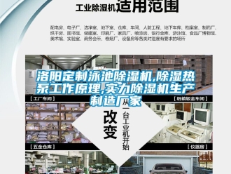 企業(yè)新聞洛陽定制泳池除濕機,除濕熱泵工作原理,實力除濕機生產制造廠家