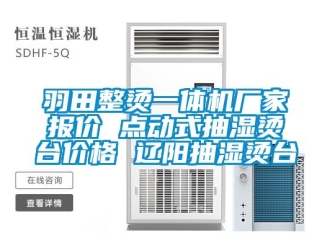 企業(yè)新聞羽田整燙一體機廠家報價 點動式抽濕燙臺價格 遼陽抽濕燙臺