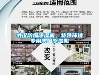 企業(yè)新聞武漢防爆除濕機(jī)，特殊環(huán)境專用防爆除濕機(jī)