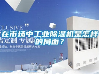 常見問題在市場中工業(yè)除濕機是怎樣的局面？