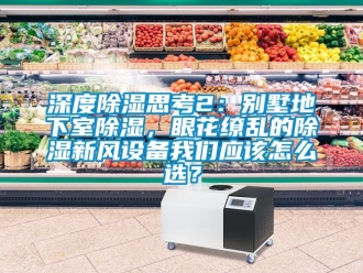 企業(yè)新聞深度除濕思考2：別墅地下室除濕，眼花繚亂的除濕新風(fēng)設(shè)備我們應(yīng)該怎么選？