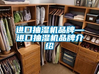 企業(yè)新聞進(jìn)口抽濕機(jī)品牌—進(jìn)口抽濕機(jī)品牌介紹