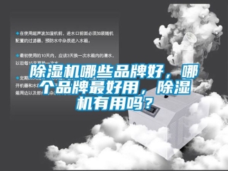 企業(yè)新聞除濕機(jī)哪些品牌好，哪個品牌最好用，除濕機(jī)有用嗎？