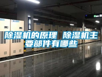 企業(yè)新聞除濕機的原理 除濕機主要部件有哪些