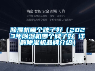 企業(yè)新聞除濕機(jī)哪個(gè)牌子好（2023年除濕機(jī)哪個(gè)牌子好 詳解除濕機(jī)品牌介紹）