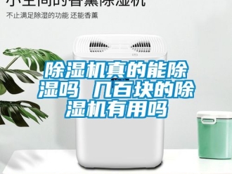 行業(yè)新聞除濕機真的能除濕嗎 幾百塊的除濕機有用嗎