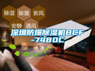 企業(yè)新聞深圳防爆除濕機(jī)BCF-7480C