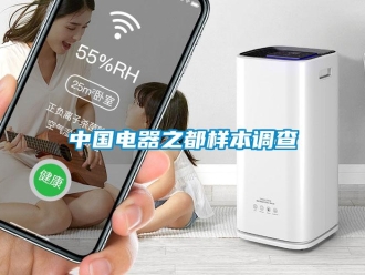 知識百科中國電器之都樣本調(diào)查