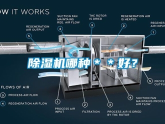 行業(yè)新聞除濕機(jī)哪種＊＊好？