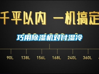 行業(yè)新聞巧用除濕機對付濕冷