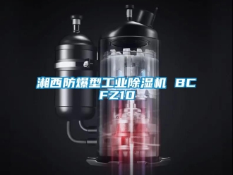 企業(yè)新聞湘西防爆型工業(yè)除濕機(jī) BCFZ10