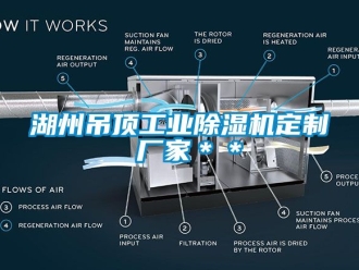 企業(yè)新聞湖州吊頂工業(yè)除濕機(jī)定制 廠家＊＊