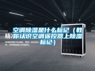 行業(yè)新聞空調除濕是什么標記（教你認識空調遙控器上除濕標記）