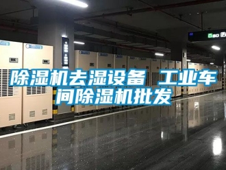 常見問題除濕機(jī)去濕設(shè)備 工業(yè)車間除濕機(jī)批發(fā)