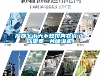 行業(yè)新聞魔都冬雨天不想拼內(nèi)衣褲了？你需要一臺除濕機！