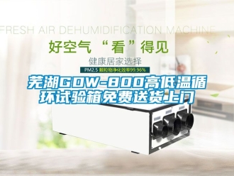 常見問題蕪湖GDW-800高低溫循環(huán)試驗箱免費送貨上門