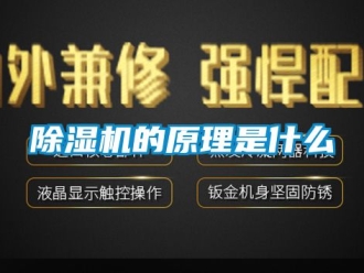 企業(yè)新聞除濕機的原理是什么