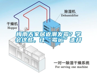 行業(yè)新聞梅雨天家居返潮發(fā)霉？學(xué)會這些，讓“霉運(yùn)”走開