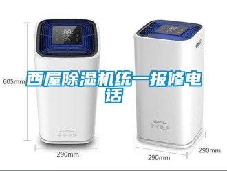 行業(yè)新聞西屋除濕機統(tǒng)一報修電話