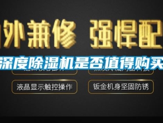 知識百科深度除濕機是否值得購買