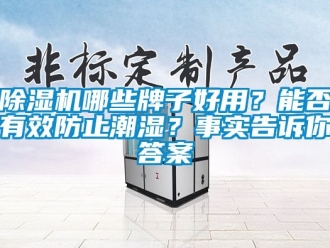 行業(yè)新聞除濕機(jī)哪些牌子好用？能否有效防止潮濕？事實(shí)告訴你答案