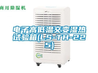 常見問題電子高低溫交變濕熱試驗(yàn)箱(LS-TH-225)