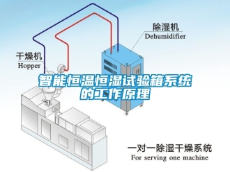 知識(shí)百科智能恒溫恒濕試驗(yàn)箱系統(tǒng)的工作原理