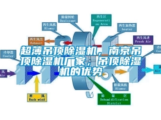 企業(yè)新聞超薄吊頂除濕機(jī)，南京吊頂除濕機(jī)廠家，吊頂除濕機(jī)的優(yōu)勢