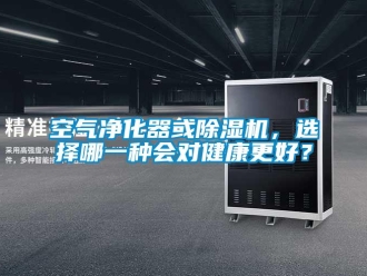 行業(yè)新聞空氣凈化器或除濕機，選擇哪一種會對健康更好？