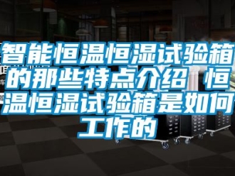 知識(shí)百科智能恒溫恒濕試驗(yàn)箱的那些特點(diǎn)介紹 恒溫恒濕試驗(yàn)箱是如何工作的