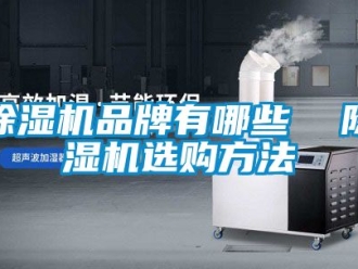 企業(yè)新聞除濕機(jī)品牌有哪些  除濕機(jī)選購(gòu)方法