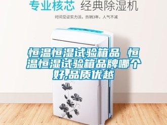 知識百科恒溫恒濕試驗(yàn)箱品 恒溫恒濕試驗(yàn)箱品牌哪個好,品質(zhì)優(yōu)越